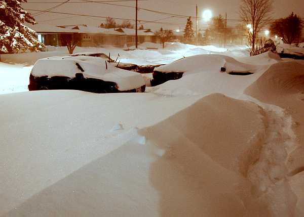 It Snowed In Toronto In March